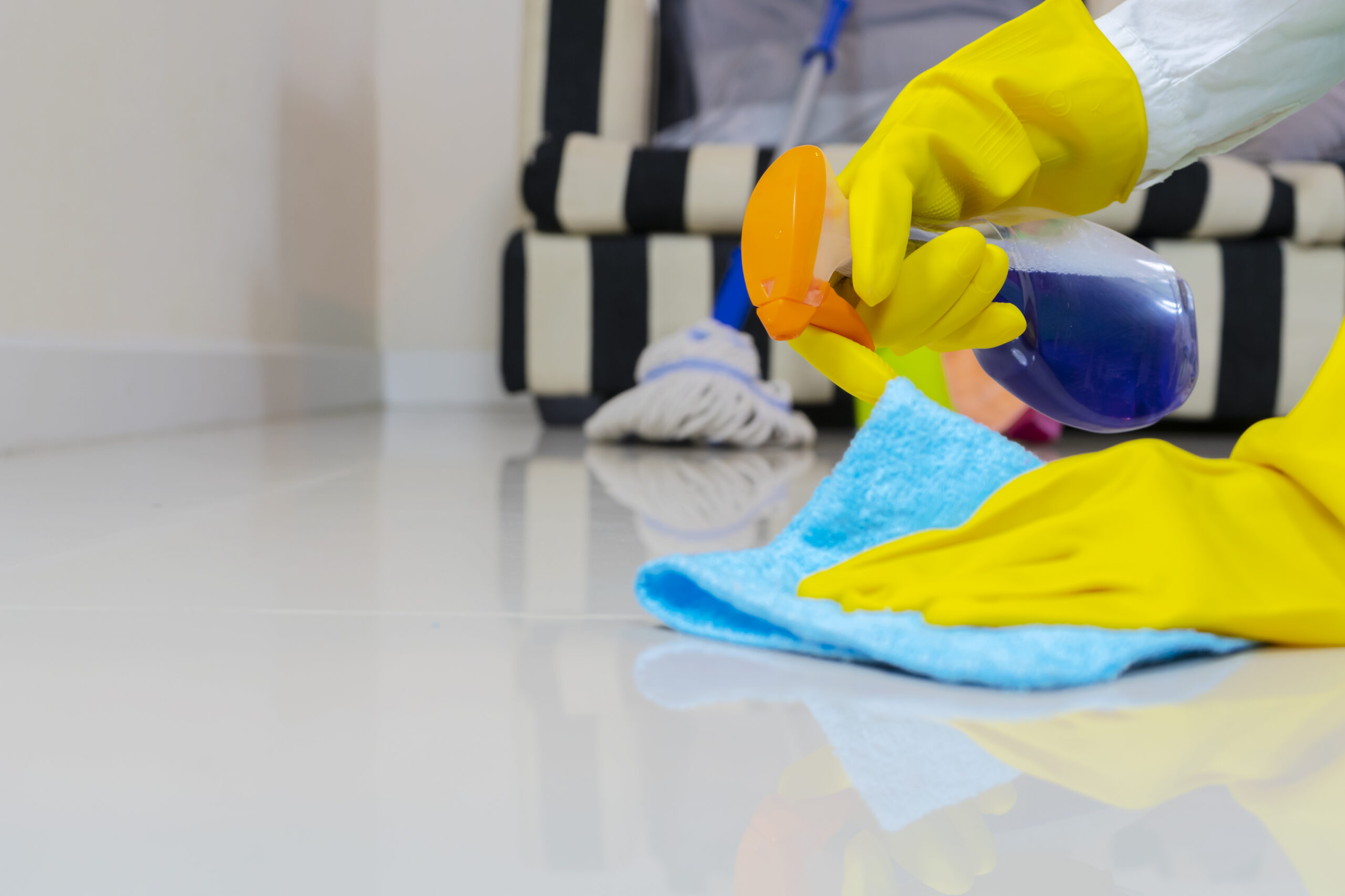 Home Cleaning Services
